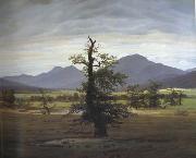 Caspar David Friedrich Landscape with Solitary Tree (mk10) oil on canvas